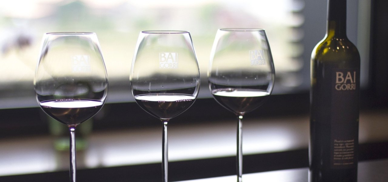 Exclusive wine tasting at Bodegas Baigorri